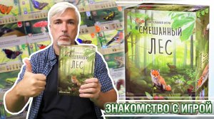 Знакомство с настольной игрой «СМЕШАННЫЙ ЛЕС»