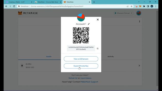 LUXY NFT Marketplace ~ Creating a Metamask Wallet /Adding Syscoin & Polygon Networks Beginners Guid смотреть онлайн
