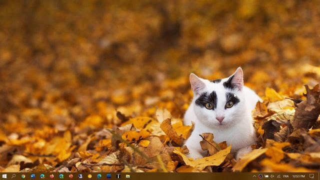 Windows 10 October 2020 update rollout still slow but will get faster Oct 27th 2020 смотреть онлайн