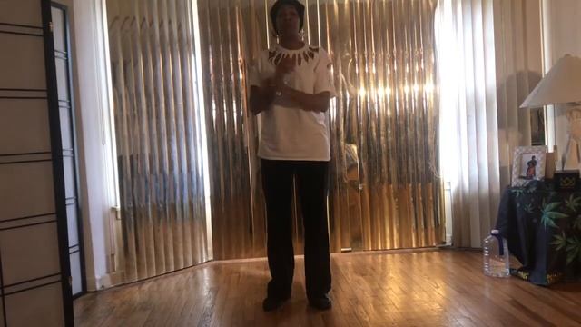 M Town Safari Line Dance - INSTRUCTIONAL & DEMO смотреть онлайн