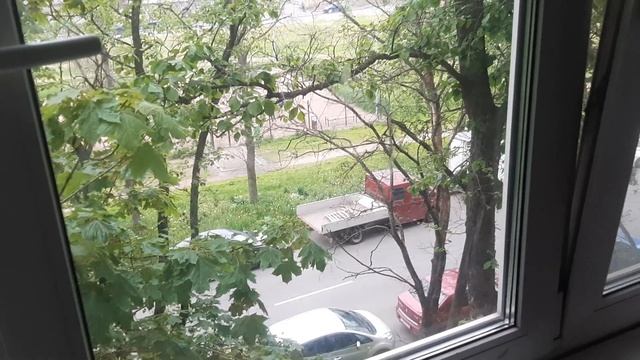 Лабрадор Рей выносит Дверь Чибо умеет Открывать Двери Собачьи Бои Моя Жизнь Кино Музей Пса смотреть онлайн