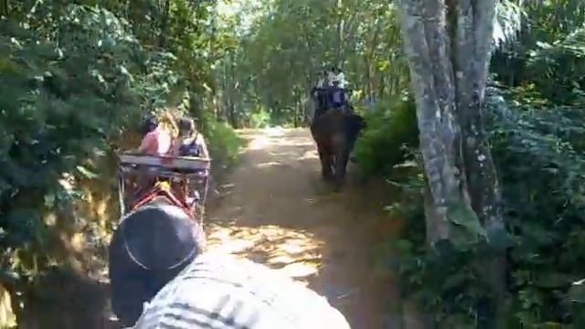 Phuket Elephant ride 1 смотреть онлайн