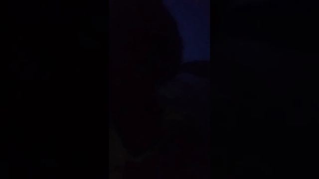 I NEVER SEEN MY BROTHER SO BRAVE смотреть онлайн
