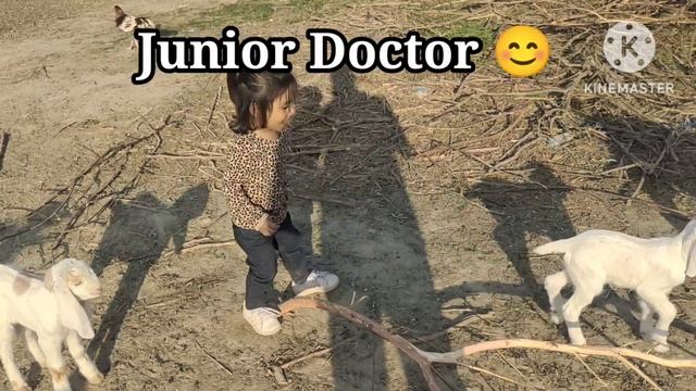 Junior Vet || Brave Girl || World Smallest Vet смотреть онлайн