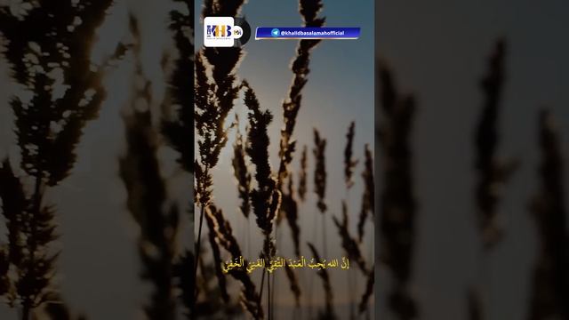 Mutiara Safar: Muslim Kaya? Part #1 - Khalid Basalamah смотреть онлайн