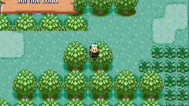 pokemon emerald free safari zone смотреть онлайн