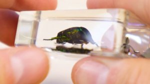 ТАКОЙ ШАШЛЫК ВЫ ЕЩЁ НЕ ПРОБОВАЛИ! КАК СДЕЛАТЬ МАНГАЛ ИЗ АРБУЗА НУБУ ИЗ МАЙНКРАФТ! СОБИРАЕМ ЖУКОВ!