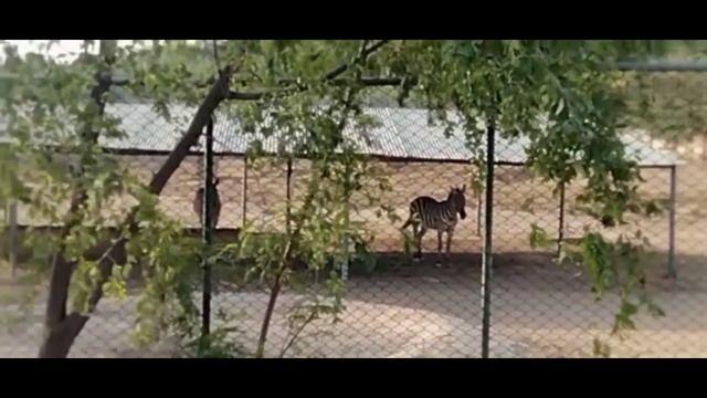 Visit to Safari Park Karachi смотреть онлайн