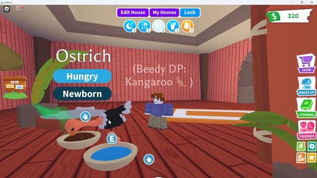 I got the new Safari House! I Roblox Adopt Me Safari Week 2 смотреть онлайн