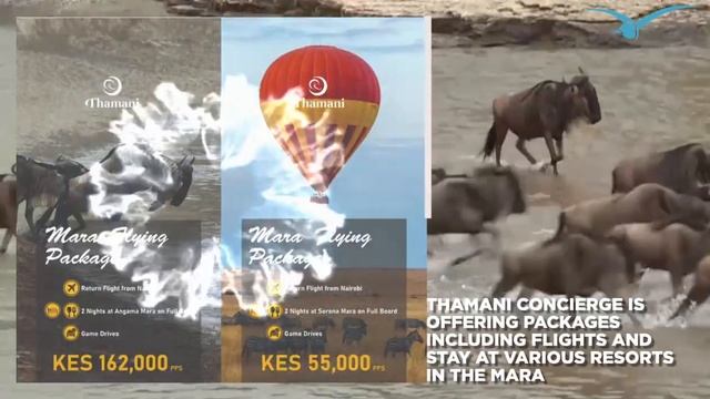MASAI MARA FLIGHTS LAUNCHED смотреть онлайн