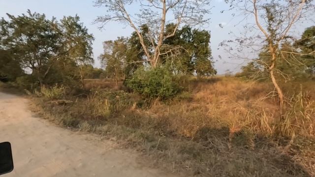 KAZIRANGA National Park 🐾 | afternoon safari | Bagori range | Ep 2 смотреть онлайн