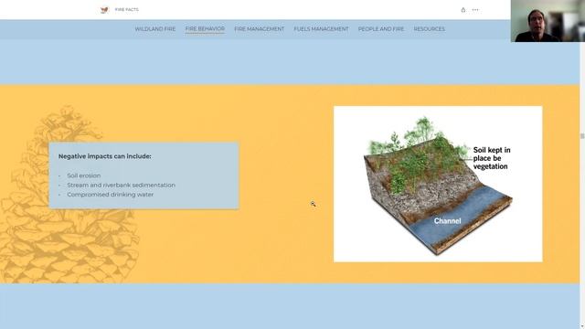Wildfire Ecology Virtual Lecture Part 1 смотреть онлайн