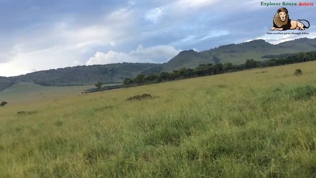 3 Days 4 Nights Kenya safari masai Mara game reserve Tour смотреть онлайн
