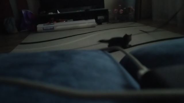 Играю с Малькой часть 2