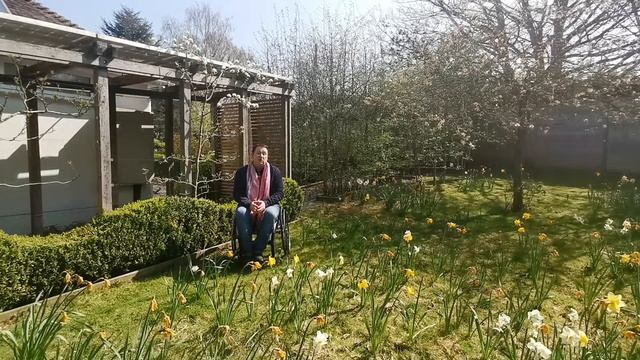 Mark shares when and how to prune apple, pear and plum trees смотреть онлайн