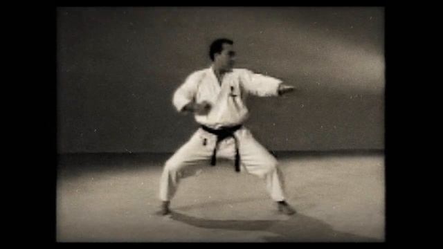 6 Каратэ. Наследие Накаямы. Ката Текки Шодан