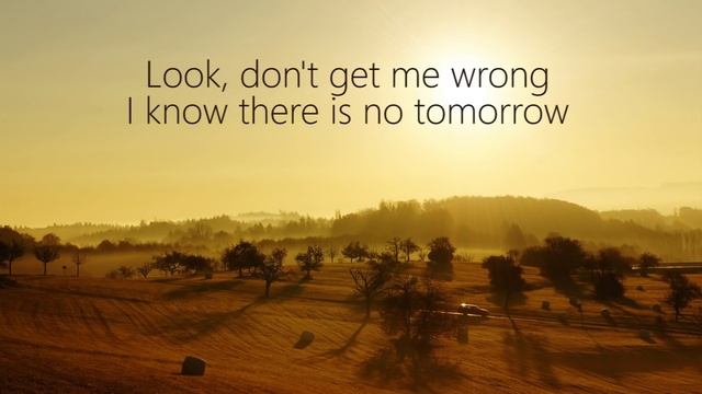 Adele - All I Ask (LYRICS) смотреть онлайн