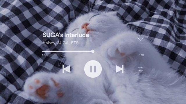 ❝ Halsey, Suga - Suga's Interlude // Slowed + Rain ❞
