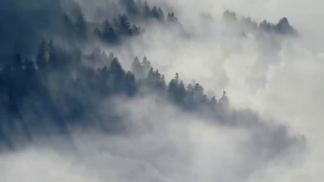 ❤_БЕТХОВЕН 🎹 РЕЛАКСИРУЮЩАЯ Классическая музыка для младенцев, учебы 🎼👶 смотреть онлайн