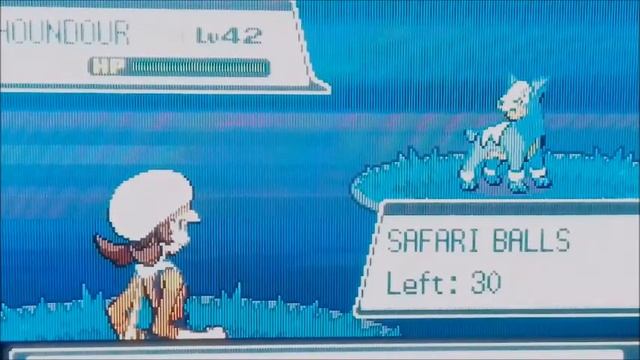 {LIVE!} Shiny Houndour in the Safari Zone! W/F? смотреть онлайн