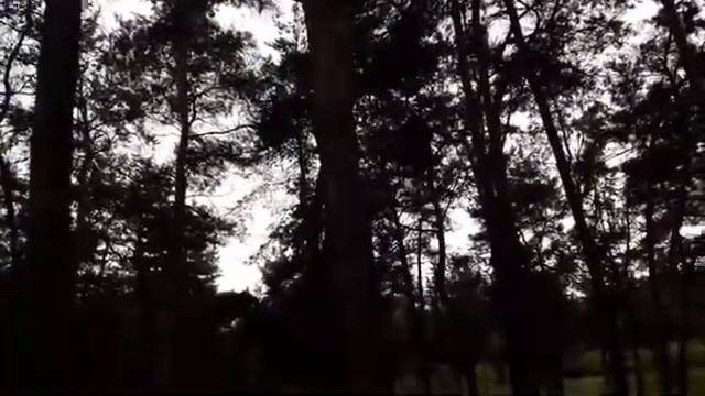 Клеточное питание Новая Эра (NEW ERA) смотреть онлайн