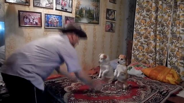 Кадр-4. из видео-фильма ДВЕ ПОДРУЖКИ. Урдомская видео-студия ДЕБЮТ. смотреть онлайн