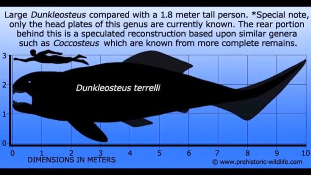 Dunkleosteus Project смотреть онлайн
