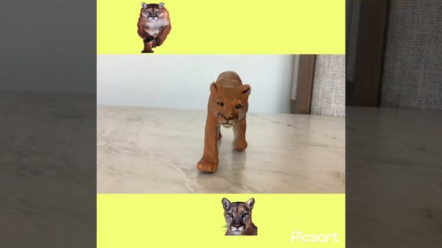 SAFARI LTD- PUMA смотреть онлайн