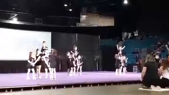 Wild cheer athletics Mini Brave 2019-2020 смотреть онлайн