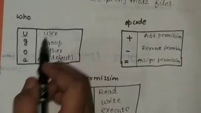 Shell Commands (chmod, grep) #class12th #lecture10 смотреть онлайн