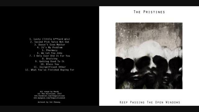 The Pristines - 2nd Pick Twice Not Out.wmv смотреть онлайн