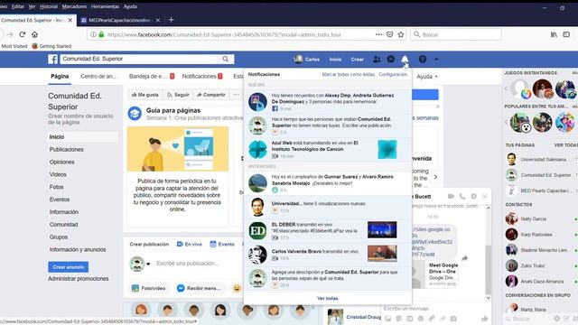 MEDPearlsCapacitaciónonline com Mozilla Firefox 2019 04 27 17 42 45 смотреть онлайн