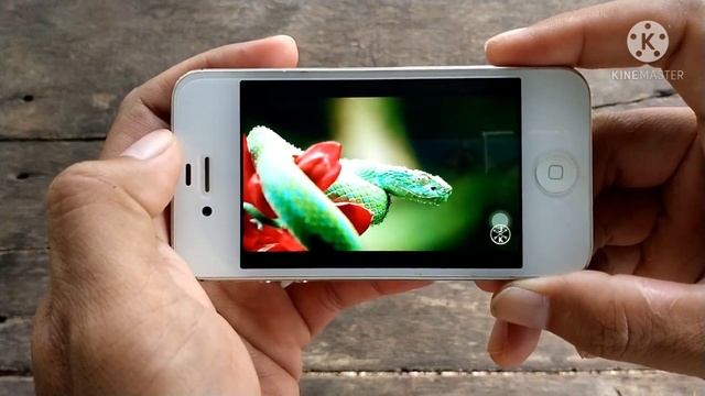iphone 4s ดูยูทูปใน safari แล้วหยุดเอง มีวิธีแก้..... смотреть онлайн