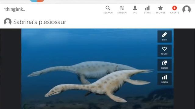 Last section for mozilla смотреть онлайн