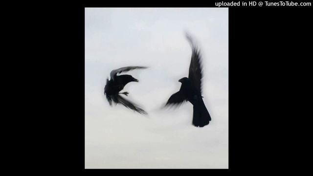 (Free) Lucki Type Beat 2022 - "Audacity" смотреть онлайн