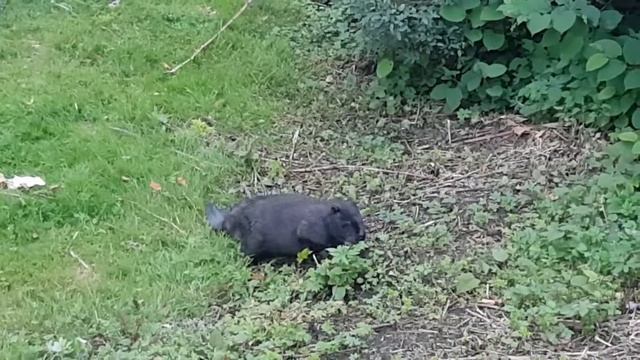 After баня смотреть онлайн