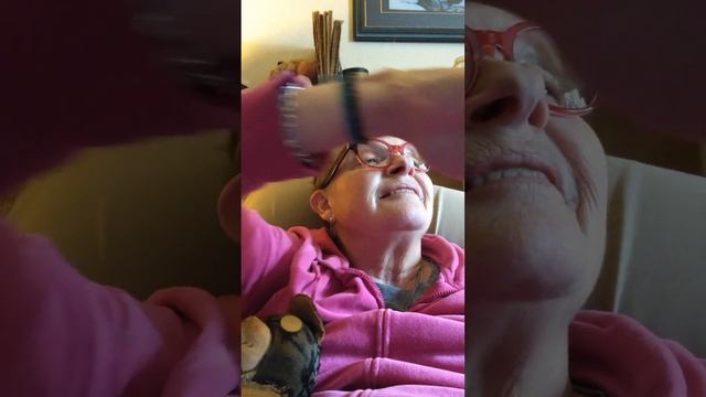 Bella and Evie's Omi reads The Very Brave Bear by Nick Bland смотреть онлайн