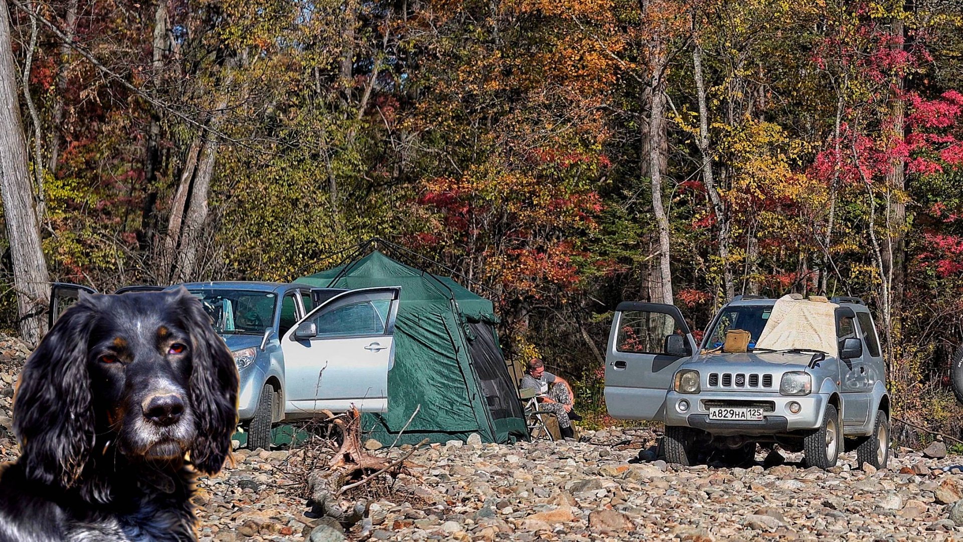 ПЕЙЗАЖ ОСЕНИ.  Приморский край. Уссурийская Тайга.