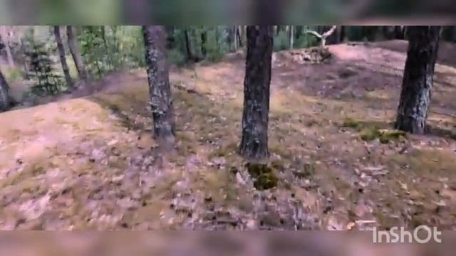 О болотниках и других персонажах языческого фольклора смотреть онлайн