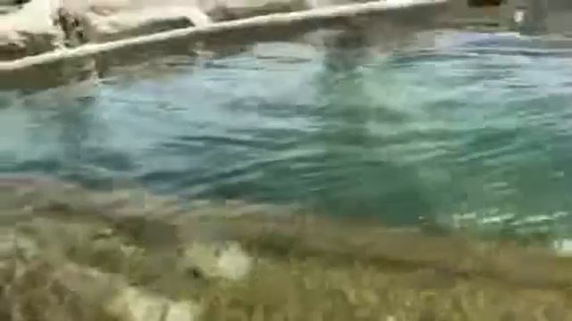 Dubai Safari 9 смотреть онлайн