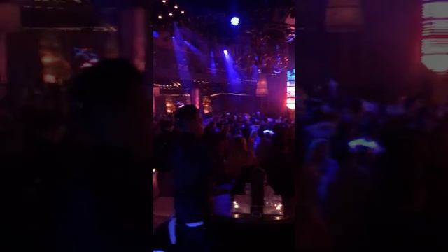 VIP club in Las Vegas смотреть онлайн