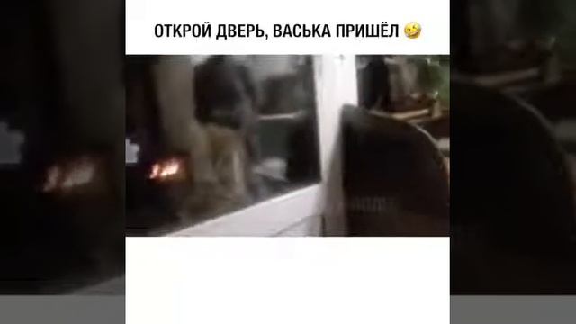 Пж откройте ему дверь смотреть онлайн