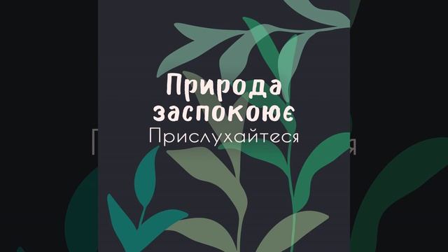 Ванна з піною смотреть онлайн