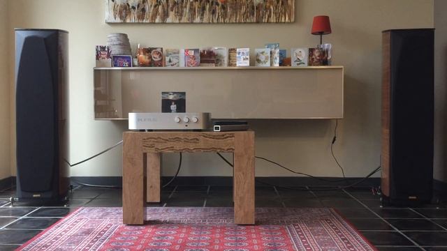Plinius 9100 A + Opera Callas Diva.