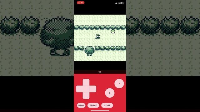 Pokemon Green Safari Hunt Loving these OG Sprites 😱😱😱 смотреть онлайн