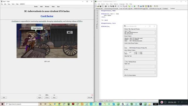 How to program Anki to be one-handed using free 'Autohotkey' software on PC! (Turn comp volume ↑) смотреть онлайн