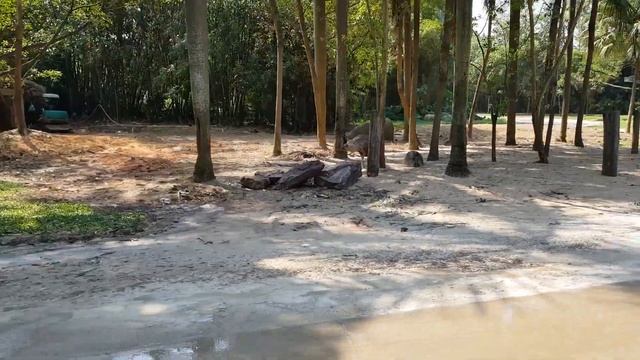 Chimelong Safari Park смотреть онлайн