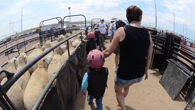 Brave Little Girl Straps Helmet for Mutton Bustin Arapahoe County Fairgrounds смотреть онлайн