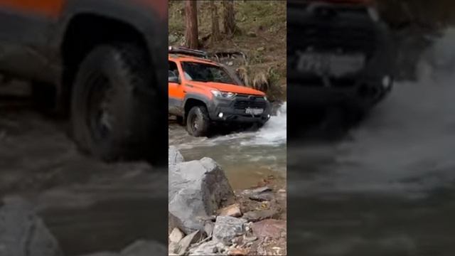 Шевик смотреть онлайн