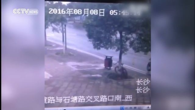 Surveillance camera captures man chopping down tree to steal bike смотреть онлайн